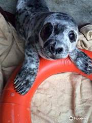 Seal Rescue Ireland Visitor Centre