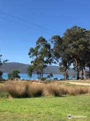 Bruny Island Berry Farm