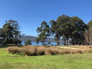 Bruny Island Berry Farm