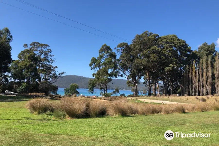 Bruny Island Berry Farm