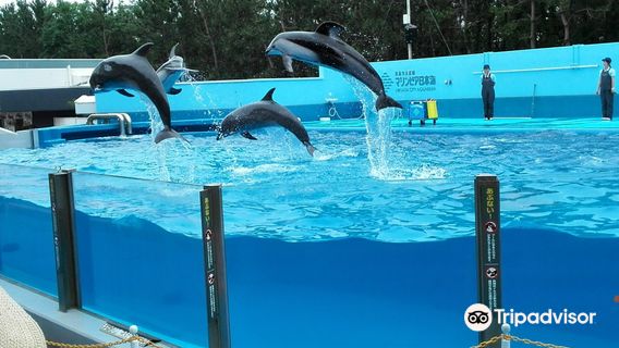 Niigata City Aquarium Marinepia Nihonkai (Sea of Japan)