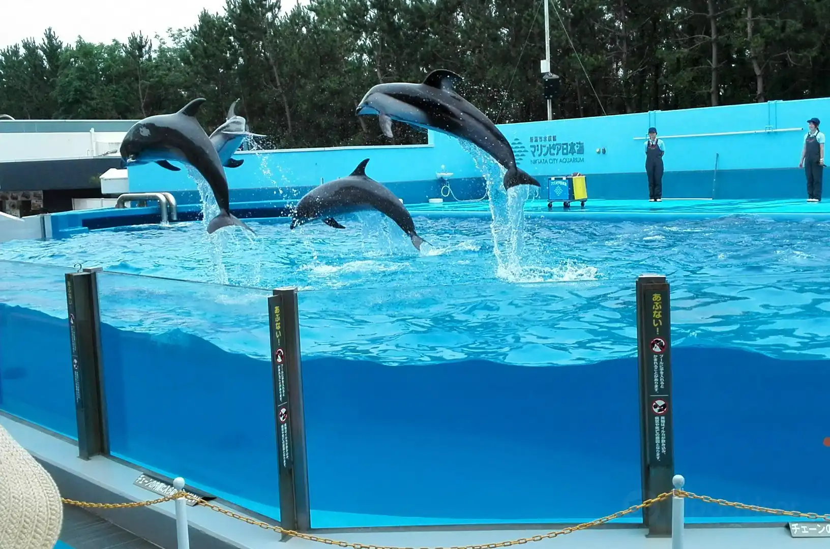 Hotel berhampiran Niigata City Aquarium Marinepia Nihonkai