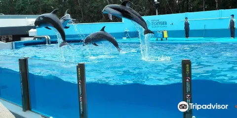 Marinpia日本海
