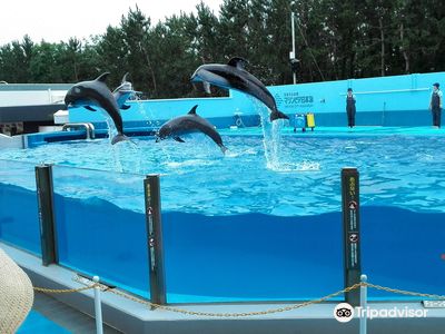Niigata City Aquarium Marinepia Nihonkai