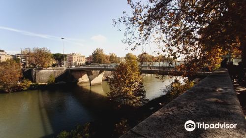 Ponte Pietro Nenni