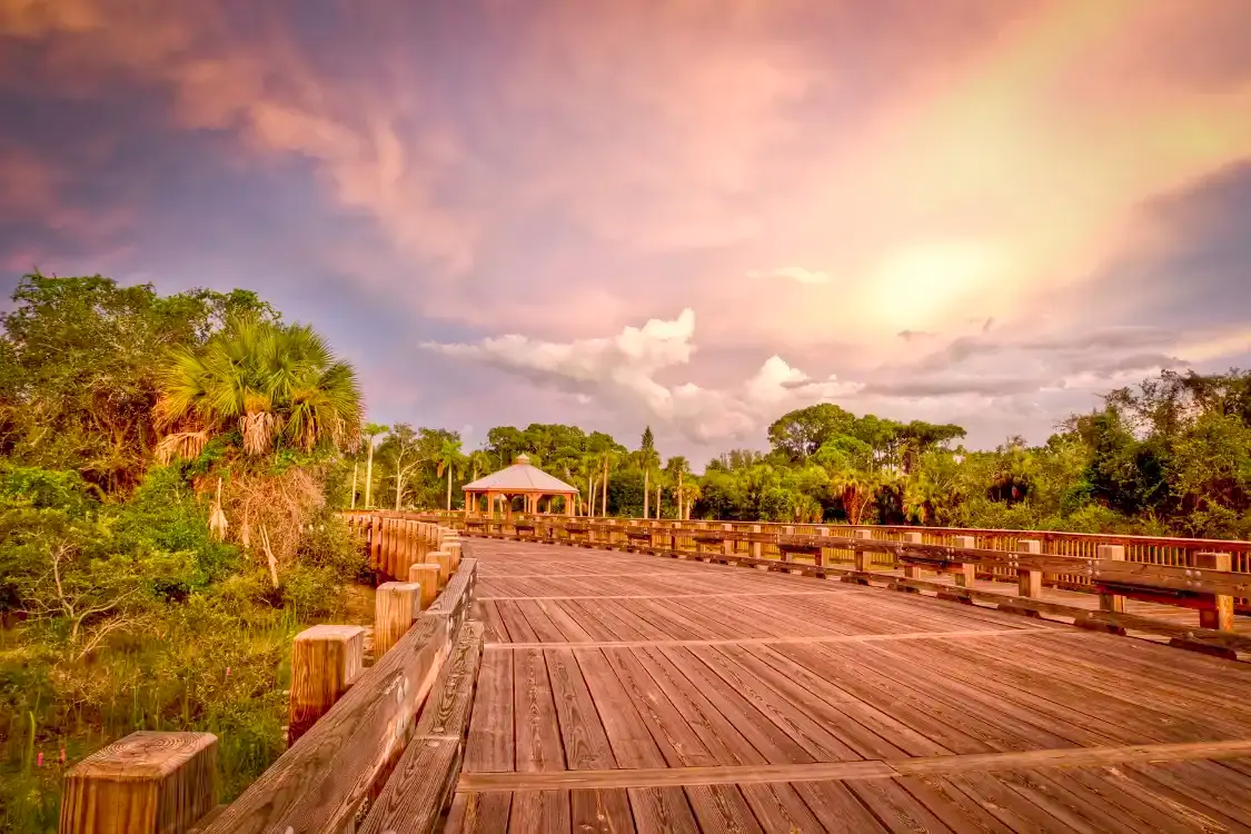 Conservancy of Southwest Florida附近的飯店