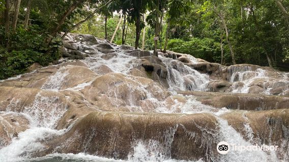 The World Famous Dunn's River Falls & Park