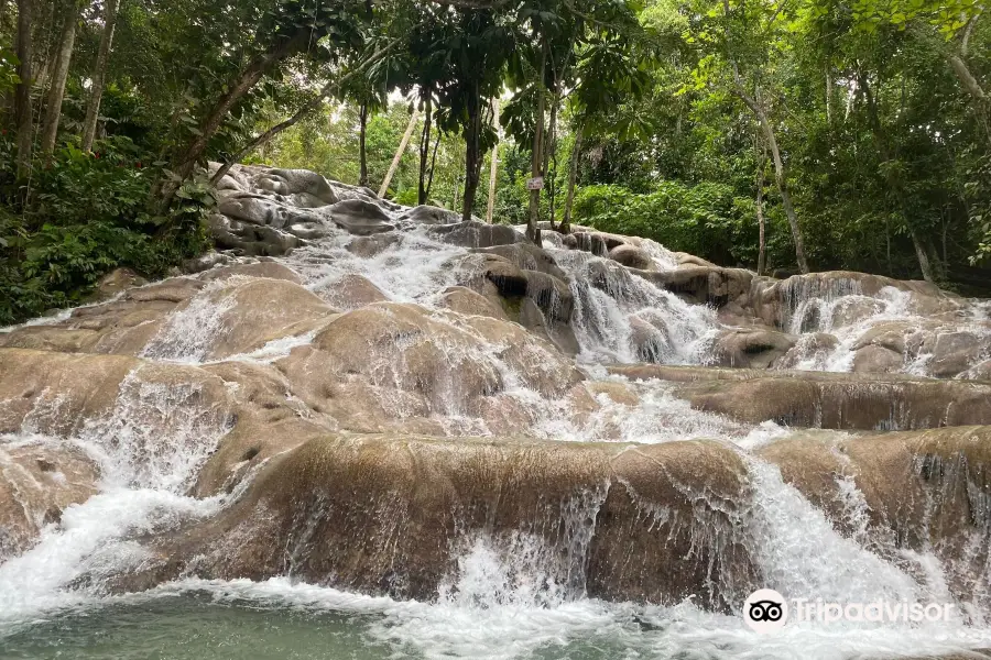 The World Famous Dunn's River Falls & Park