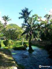 Roaring River and Cave