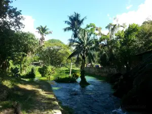 Roaring River and Cave