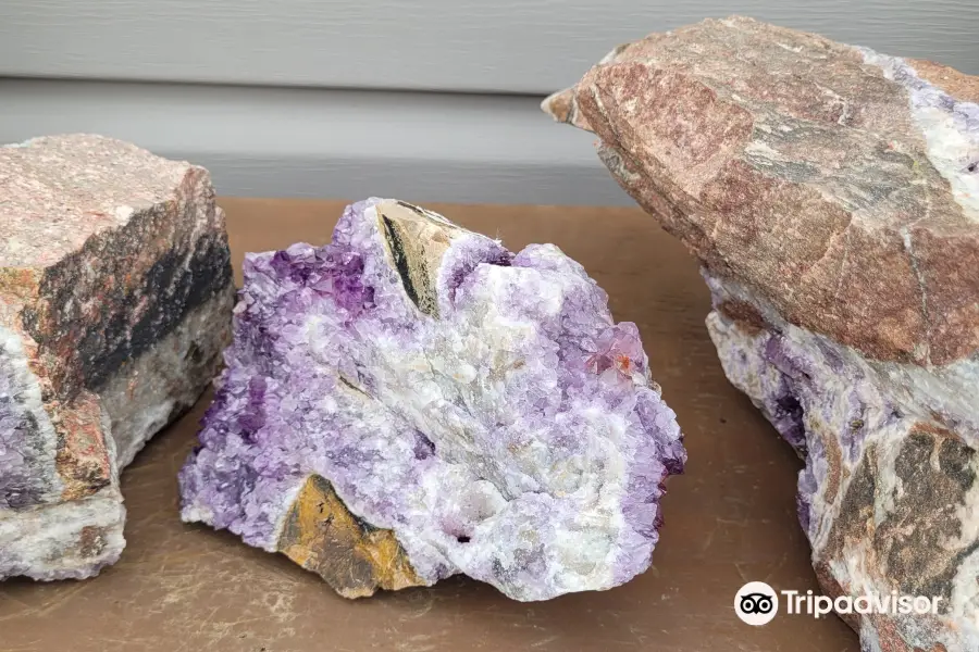 Diamond Willow Amethyst Mine