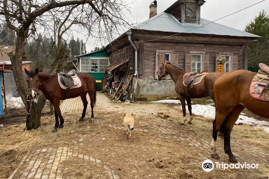 Horse Farm Dutkovo