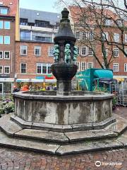 Marcus Fountain