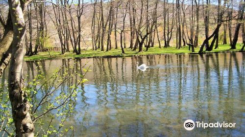 Driloni National Park