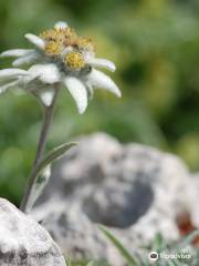 Flore-Alpe Alpine Botanical Garden