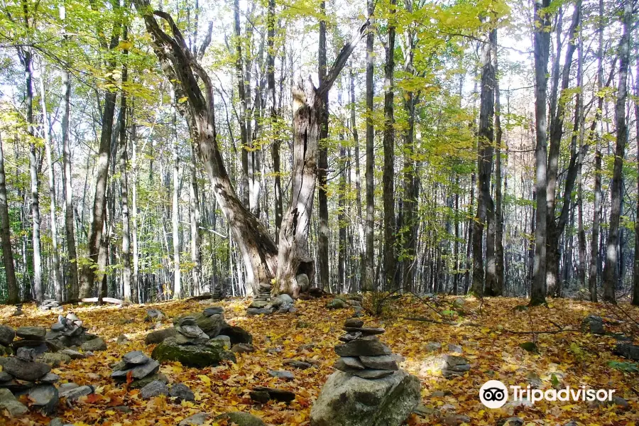 Parc du Bois-Beckett