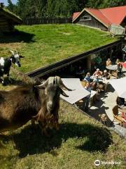 Old Country Market - Goats on Roof