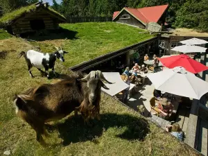 Old Country Market - Goats on Roof