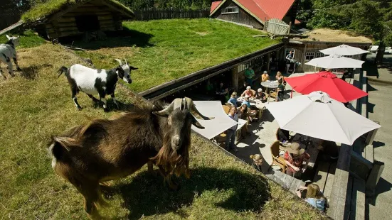 Old Country Market - Goats on Roof
