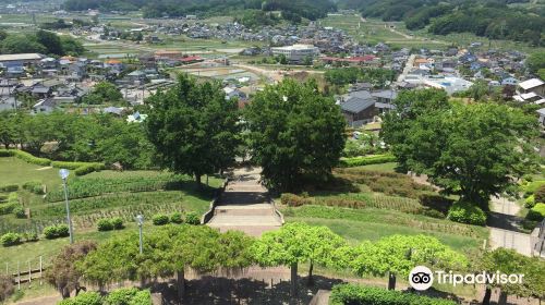 稲荷山公園 コスモタワー