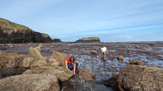 Saltwick Bay Beach