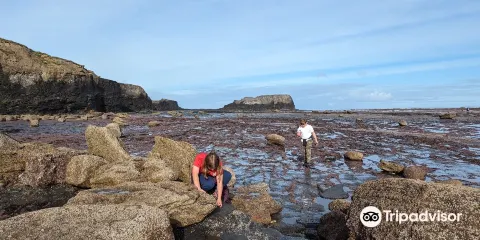 Saltwick Bay Beach