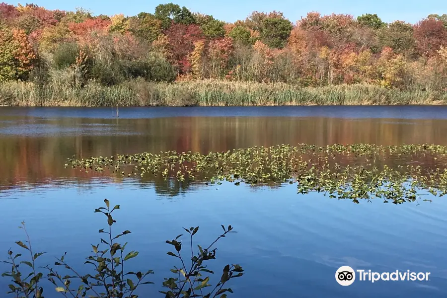 Massapequa Preserve