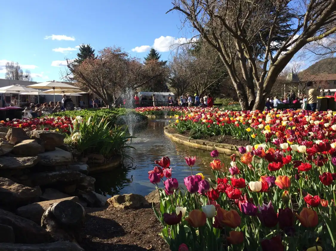 Hotels near Corbett Gardens