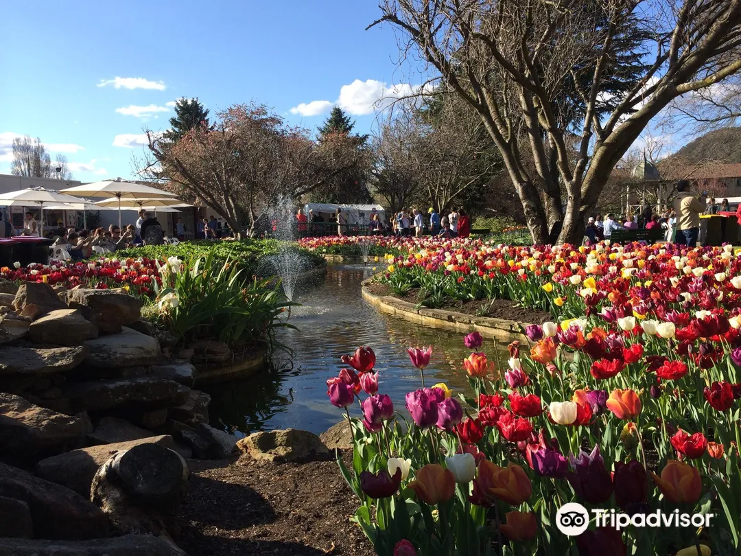 1_The Corbett Gardens