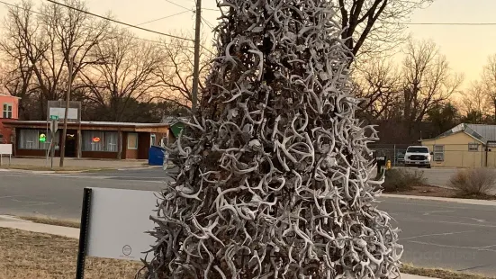 Deer Horn Tree