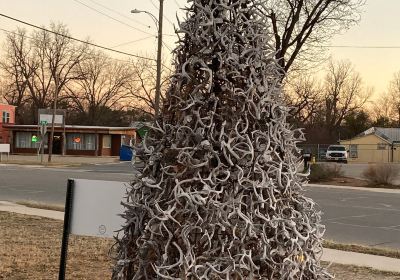 Deer Horn Tree