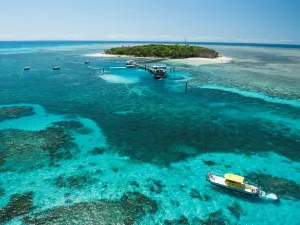 Big Cat Green Island Reef Cruises