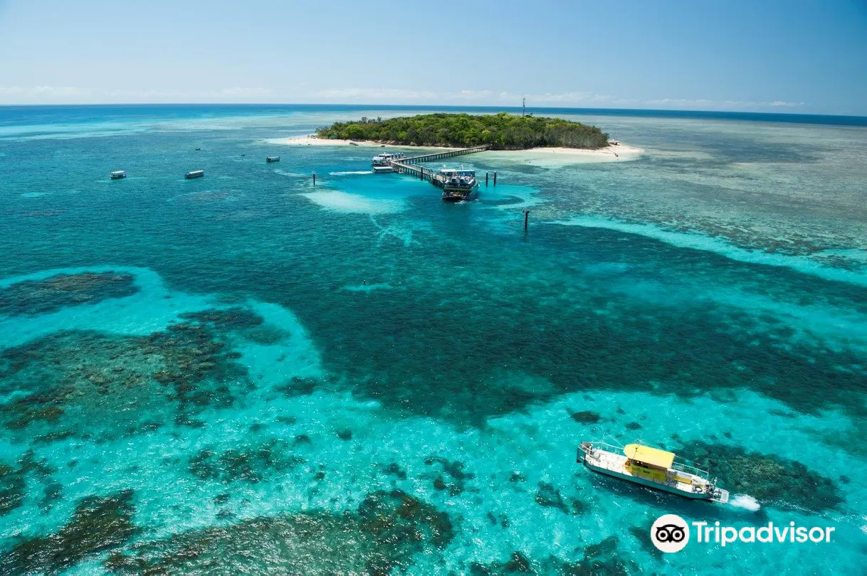 3_Big Cat Green Island Reef Cruises