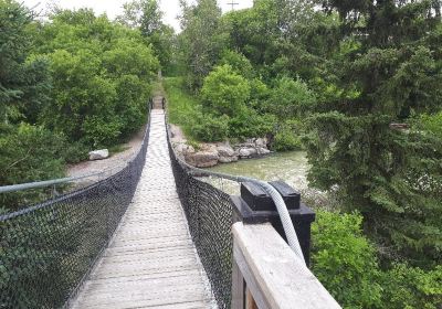 Roy Wilson Suspension Bridge