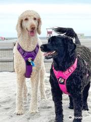 Wildwood Dog Park & Beach