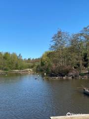 Chadwick Dam