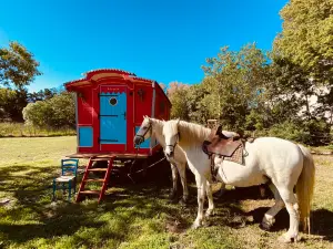 Domaine Paul Ricard Mejanes en Camargue