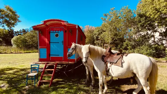 Domaine Paul Ricard Mejanes en Camargue