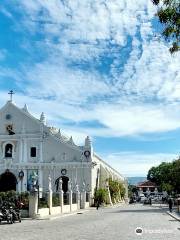 Metropolitan Cathedral of the Conversion of St. Paul the Apostle