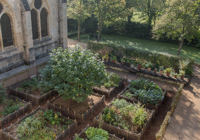 Abbaye de Royaumont