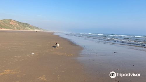 Marske Sands Beach