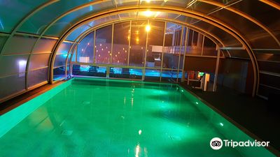 BLUE Wellnessboot Mill