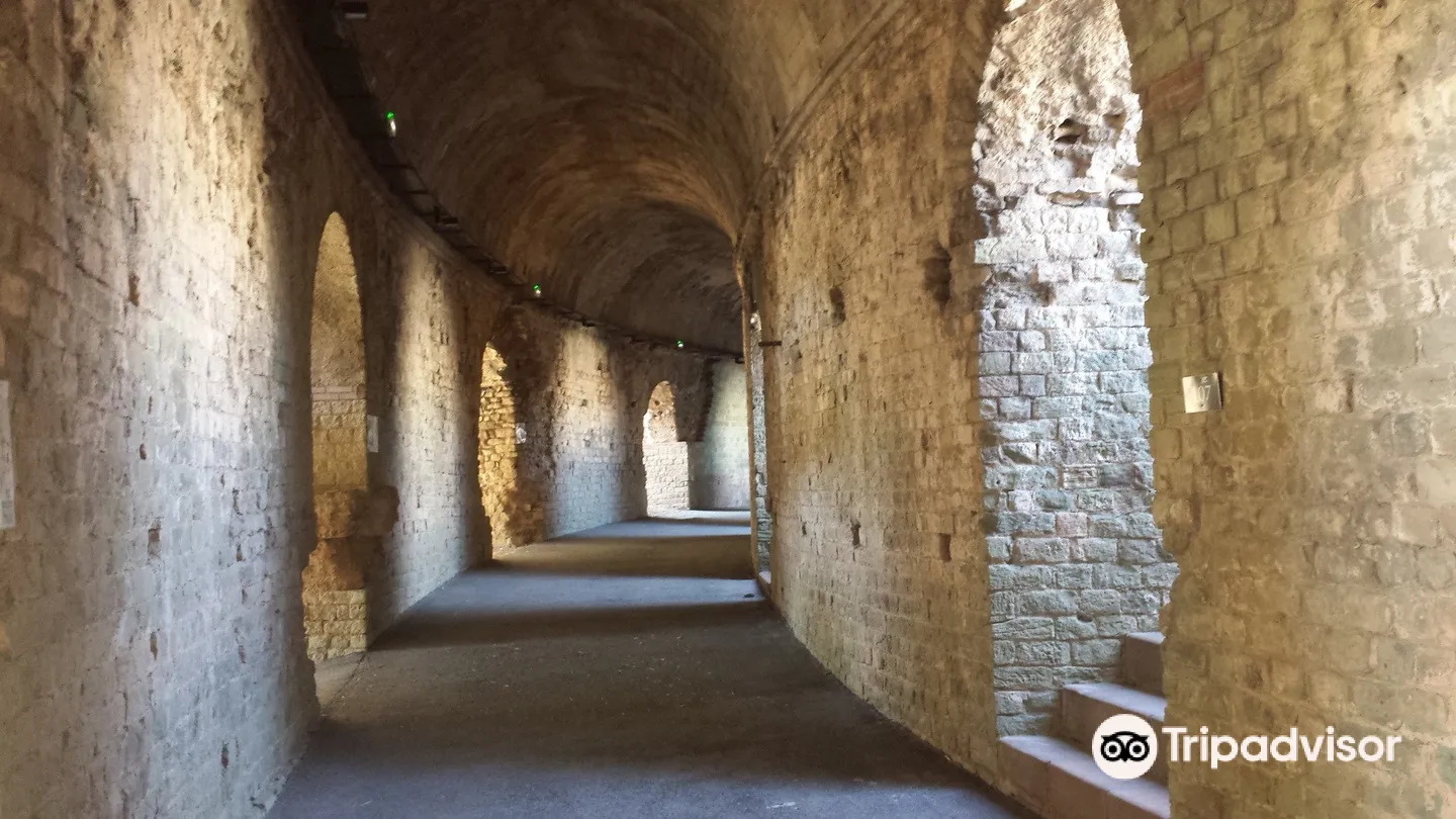 2_Arènes de Fréjus