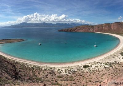 Sea of Cortez
