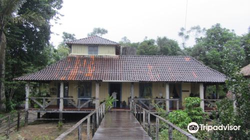 Seringal Museum