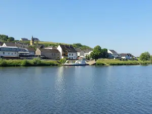 Moselle