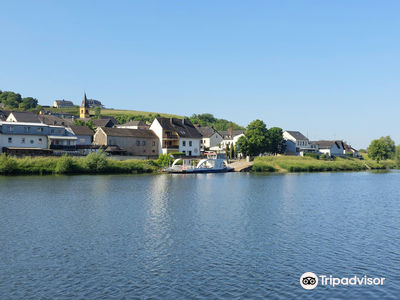 Moselle