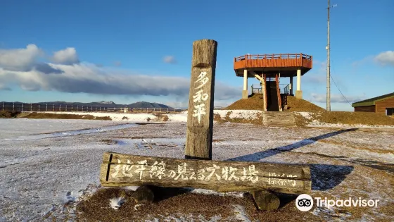 標茶町多和平