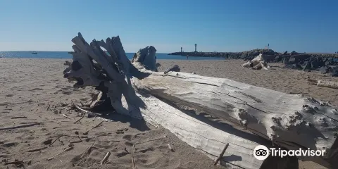 Plage des Orpellieres