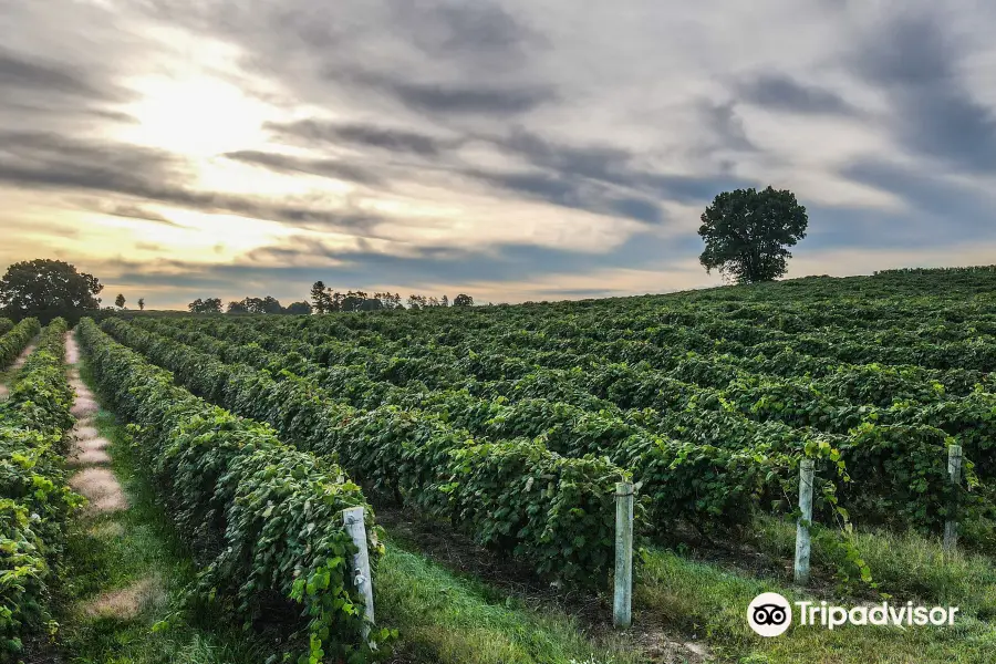 Leigh’s Garden Winery